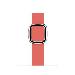 Apple 40mm Pink Citrus Modern Buckle - Large