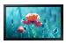 Smart Signage - Qb13-m - 13in - Full Hd