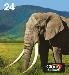 Ink Cartridge - 24 Elephant - Black/ Cyan / Light.cyancy / Magenta / Light Magenta