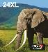 Ink Cartridge - 24xl Easymail - Blck/ Cyan/ Magenta/ Yellow/ L.magenta/ L. Yellow/