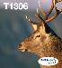 Ink Cartridge - T1306 Stag 10.1ml - Cyan/ Magenta/ Yellow