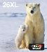 Multipack 4-colours 26xl Easymail