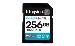 Sdxc Card - Canvas Go Plus  - 256GB - Cl10 - Uhs-l U3 V30