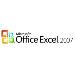 Ov Excel Lic/sa