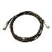 Networking Cable - Sfp28 To Sfp28 25gbe Passive Copper Twinax Direct Attach 5m Cust Kit