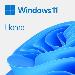 Windows 11 Home 64bit Oem - 1 Users - Win - Dutch