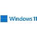 Windows 11 Pro N 64bit - 1 Lic - Win - Dutch - USB Stick