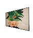 Large Format Monitor - 55bdl4511d- 55in - 3840 X 2160 - D-line