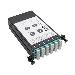 TRIPP LITE 40GB to 10GB Breakout Cassette - (x2) 12-Fiber OM4 MTP/MPO to (x12) LC