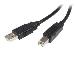 USB 2.0 Cable USB A To USB B 0.5m