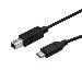 USB Typec To USB Typeb Cable M/m USB 2.0 3m
