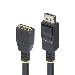 DisplayPort 1.4 Extension Cable Dp 1.4 Port Saver Cable 8k 60hz Dp Male To Female Ex 3m