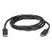 DisplayPort 1.2 Cable (4 6m)