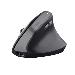 Tm-270 Ergonomic Wireless Mouse