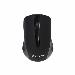 Wireless Mouse Comfort