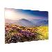 Projecta Fullvision 175x280 Hd Progressi (10600845)