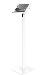 Bundle / Swift Floor Stand + Apex Secured Enclosure Wall Mount for iPad Pro M4 11in - White