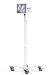 Bundle / Rolling Rise Stand Extended + Apex Secured Enclosure Wall Mount for iPad Air M2 & M3 11in - White