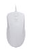 Mouse - USB - Degree Of Protection IP68 - White